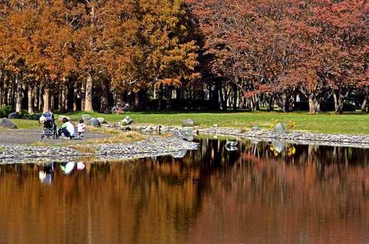 都内のオアシス!水元公園 - 東京の手ぶらでバーベキュー・機材の